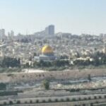 BursaGonulGokce kullanıcısının profil fotoğrafı