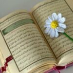 G19-3 RabiaKonya kullanıcısının profil fotoğrafı