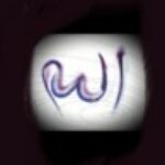 Fatma Hira Nur kullanıcısının profil fotoğrafı