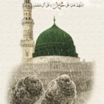 Shahnaz Hassan kullanıcısının profil fotoğrafı