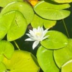 Fidan 313 kullanıcısının profil fotoğrafı