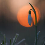 Yonca Polatlili kullanıcısının profil fotoğrafı