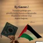 SevalAnkara kullanıcısının profil fotoğrafı