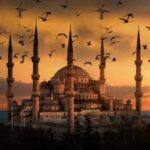 Gönül İstanbul kullanıcısının profil fotoğrafı